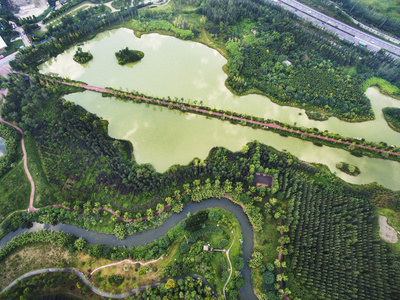 中国四川成都锦江区白鹭岛湿地