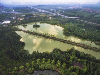 中国四川成都锦江区白鹭岛湿地