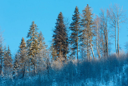 冬晨山雪景