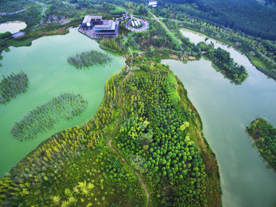 中国四川成都锦江区白鹭岛湿地图片