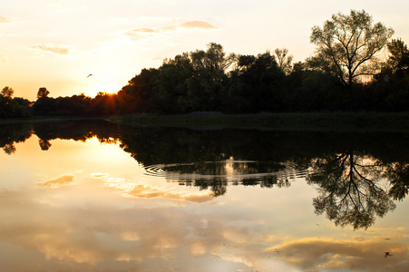 湖上的日落。树映在水面上。日晚上