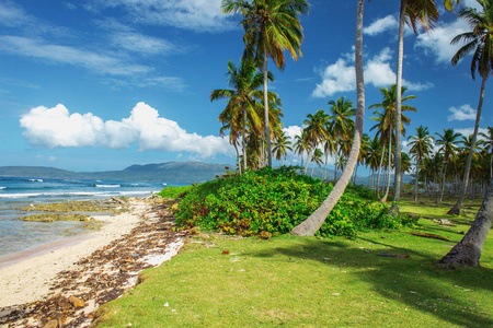 迷人的美丽风景如画的加勒比海景色, 多米尼加共和国