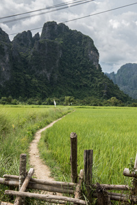 泥路进入田野