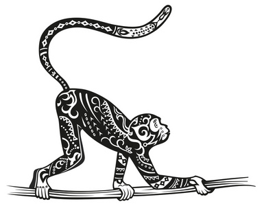 猴子图图片-猴子图素材-猴子图插画-摄图新视界