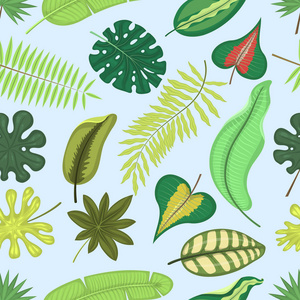 矢量热带树叶绿色异国情调丛林棕榈叶热带自然夏季植物植物学夏威夷动植物插画无缝模式背景