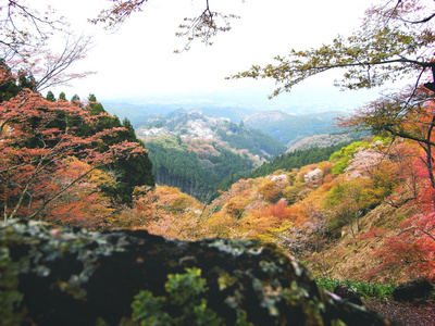 范围山景