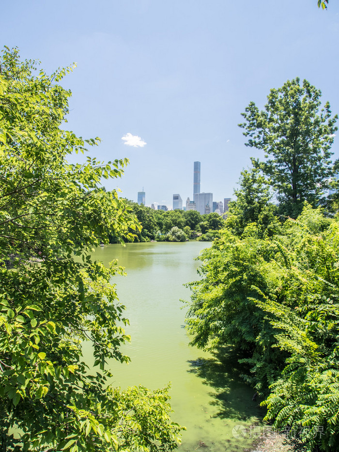centalpark纽约