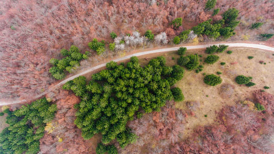 鸟瞰图的公路穿过森林