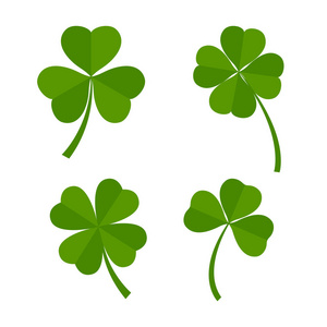 白色背景的绿色三叶草叶子集照片