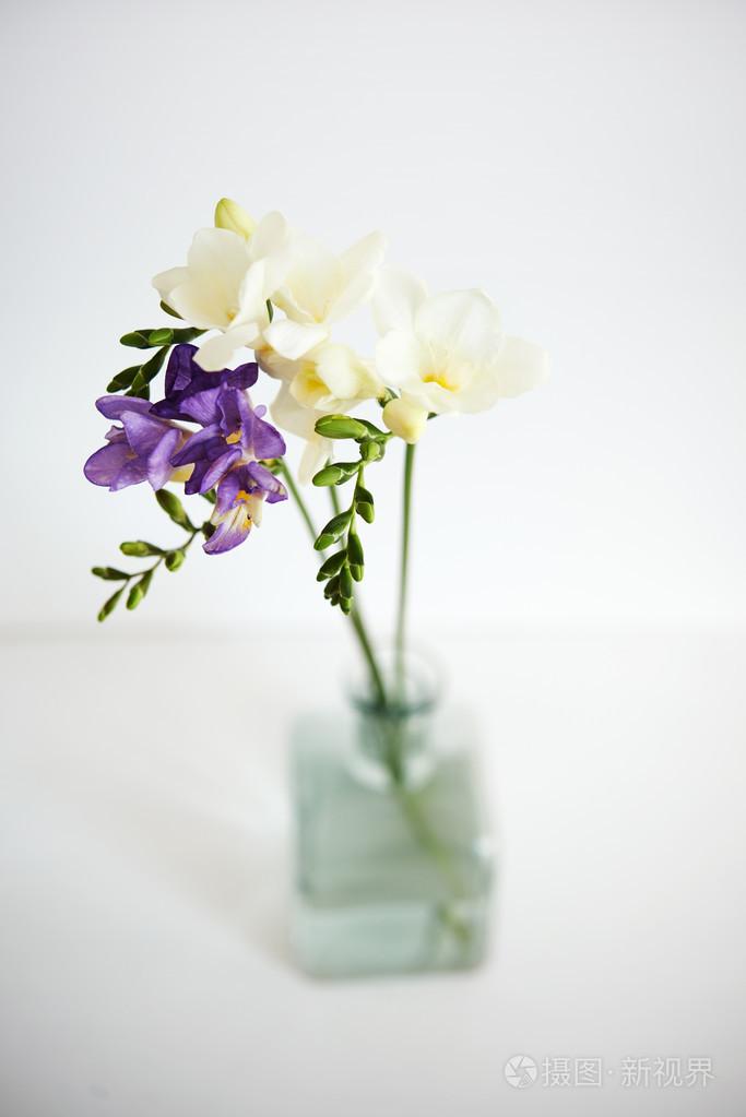 美丽小苍兰的花束