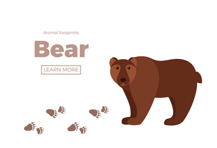 脚印卡通森林动物用脚印卡通风格彩色矢量插图照片