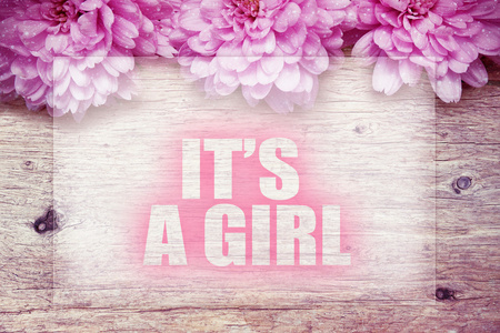 粉色的花朵上木用词，这是一个女孩