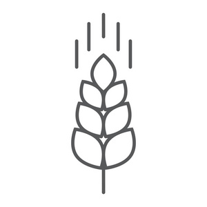 小麦穗线图标, 农业和农业, 谷物符号矢量图形, 在白色背景上的线性模式, eps 10