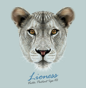 一只母狮子在蓝色背景上的向量肖像