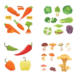 农业生产，蔬菜图标设置。健康的食物