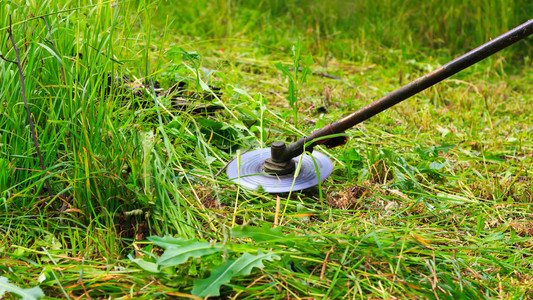刈割对汽油微调,花园里的杂草特写照片