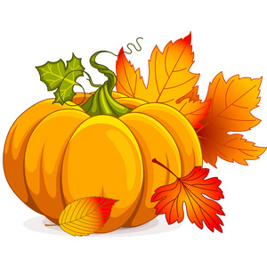 南瓜和叶子图片