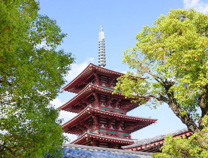 在日本大阪举行的四天王寺照片 正版商用图片0foi 摄图新视界