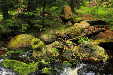 小河从山舒马瓦山，南部捷克美丽荒野