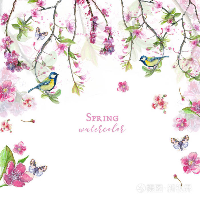 樱花樱花樱花 粉色的花朵 柔和的色调 在春天的主题 母亲节 3月8日 生日与鸟类 乳房和oriol 的装饰和设照片 正版商用图片0f87um 摄图新视界