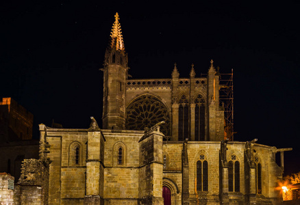 卡尔卡松中世纪城市夜景的雄伟大教堂