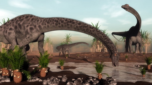 梁龙特征图图片