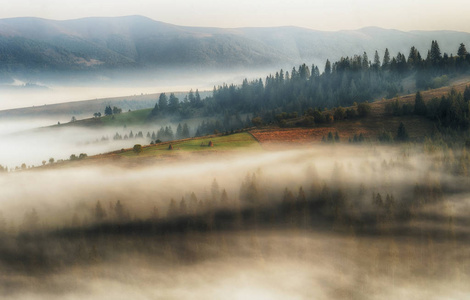 大雾的早晨。喀尔巴阡山上风景如画的秋日黎明