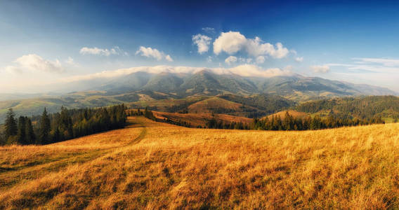 大雾的早晨。喀尔巴阡山上风景如画的秋日黎明