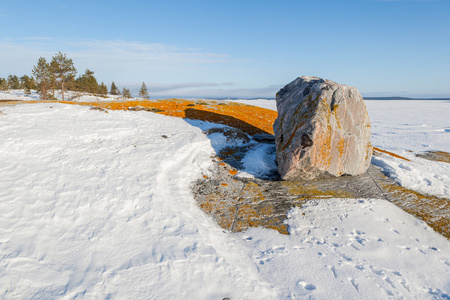 那块大石头和橙色苔藓雪海岸的冬天海坝