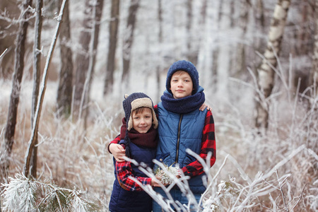 walr 的两个兄弟在冬天的森林里。最好的朋友一起玩