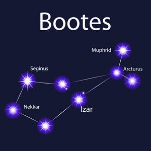 插图星座牧夫座与星 muphrid, seginus照片