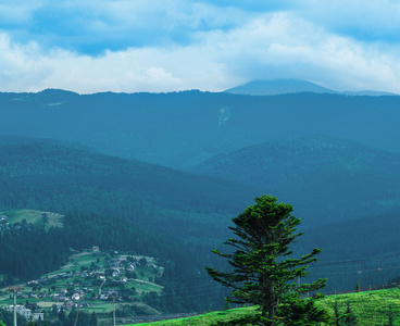 乡村景观