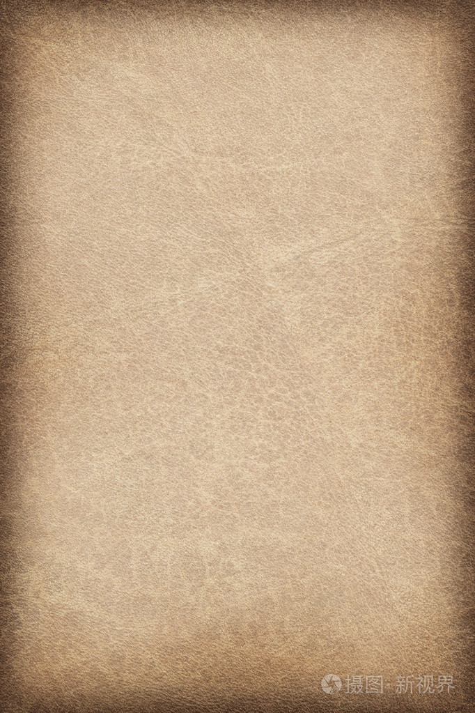 动物皮肤羊皮纸 vignette grunge 纹理样本