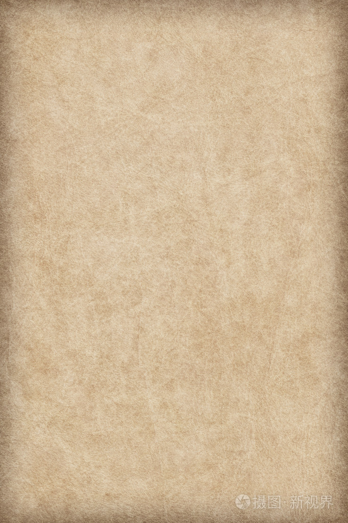古色古香的动物皮肤羊皮纸 vignette grunge 纹理样本