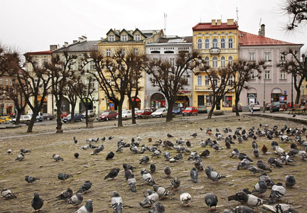 在 Przemysl 的市场广场。波兰