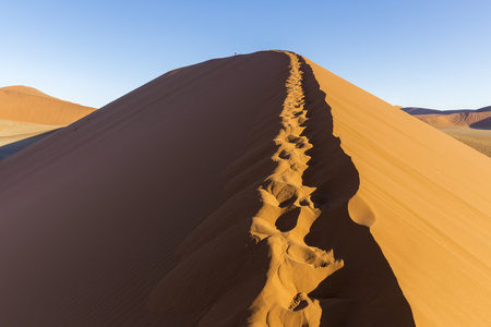 查看从沙丘 45 纳米布沙漠，纳米比亚的索苏斯