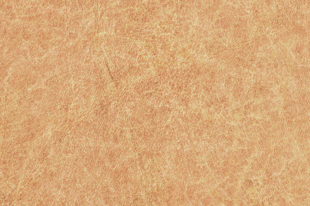 古色古香的动物皮肤羊皮纸 Grunge 纹理样本