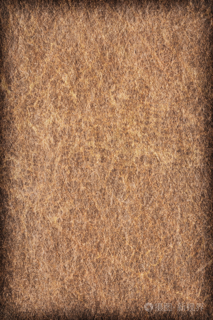 古色古香的动物皮肤羊皮纸 vignette grunge 纹理样本照片-正版商用