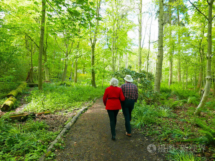在树林里漫步的情侣