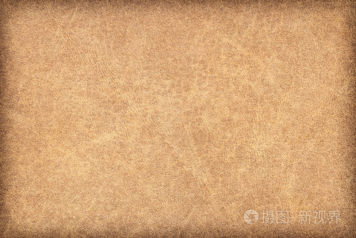老自然赭褐色动物皮肤羊皮纸粗 vignette grunge 纹理样本