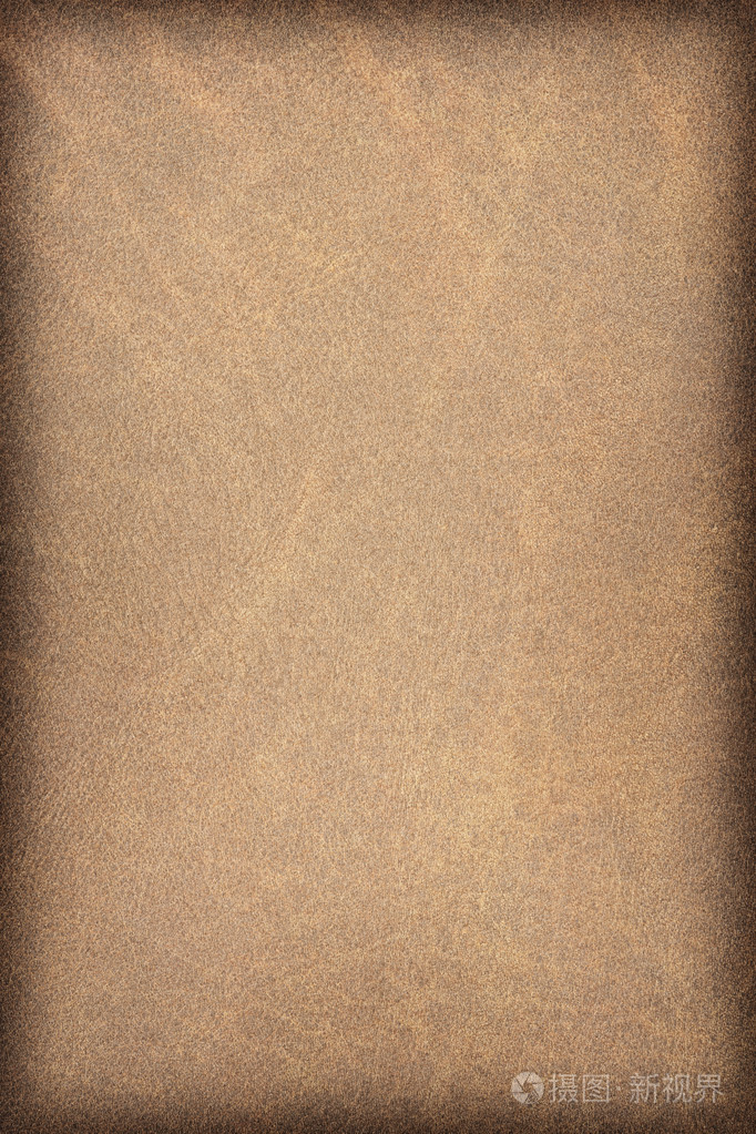 古色古香的动物皮肤羊皮纸 vignette grunge 纹理样本
