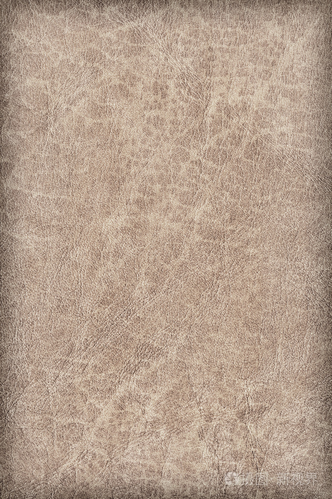 老灰米色牛皮皱皱巴巴的小插图 grunge 纹理