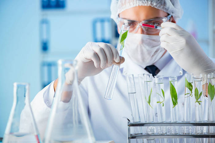 科学家在实验室里的生物技术概念照片-正版商用图片0f92k9-摄图新视界