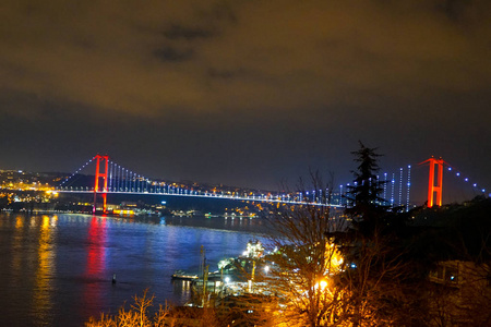 博斯普鲁斯海峡和桥景夜景