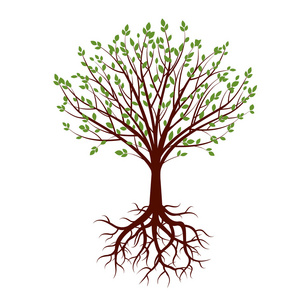 形状的树，根和绿色的树叶。矢量图