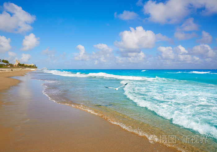 棕榈滩海滩海岸线佛罗里达我们