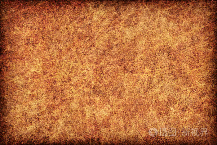 古色古香的羊皮纸 vignette grunge 纹理