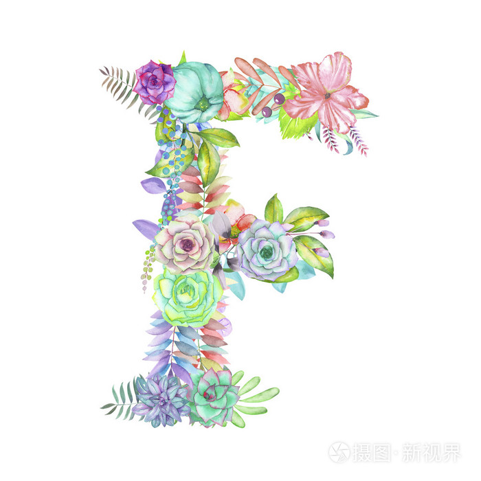 大写字母 f 的水彩花卉,孤立手绘在白色的背景下,婚礼设计照片-正版商