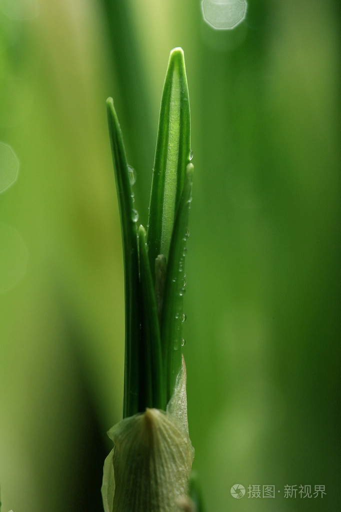 682_1023竖版 竖屏