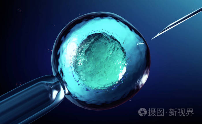3d 卵细胞 卵子或受精卵的人工授精或体外受精的渲染照片 正版商用图片0fa1lu 摄图新视界 3d 卵细胞 卵子或受精卵的人工授精或体外受精的渲染照片 正版商用图片0fa1lu 摄图新视界